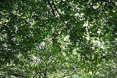 万代南梦宫公布MMORPG《蓝色协议》开场动画