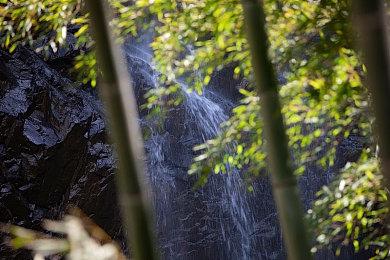 《孤岛惊魂6》停止更新 在线服务不关闭